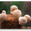 Thumbnail of related posts 054