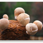 Thumbnail of post image 110