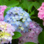 Thumbnail of related posts 062