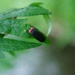 Thumbnail of post image 180