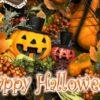 Thumbnail of post image 063