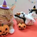 ハロウィンっていつ？なぜカボチャなの？芸能人の仮装がおしゃれ！